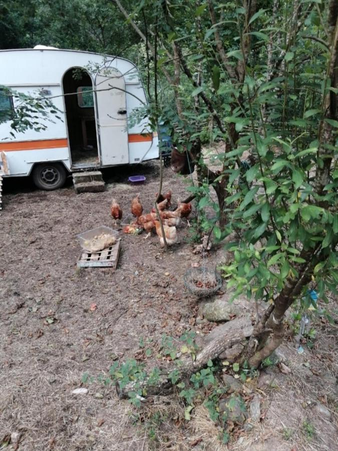 Les Roches Chambre D'Hotes Servant Exterior foto